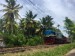 Srí Lanská železnice 1